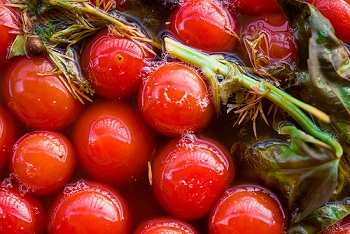 wpid yandeksdirekt pimg titlesolenie pomidori v bochke